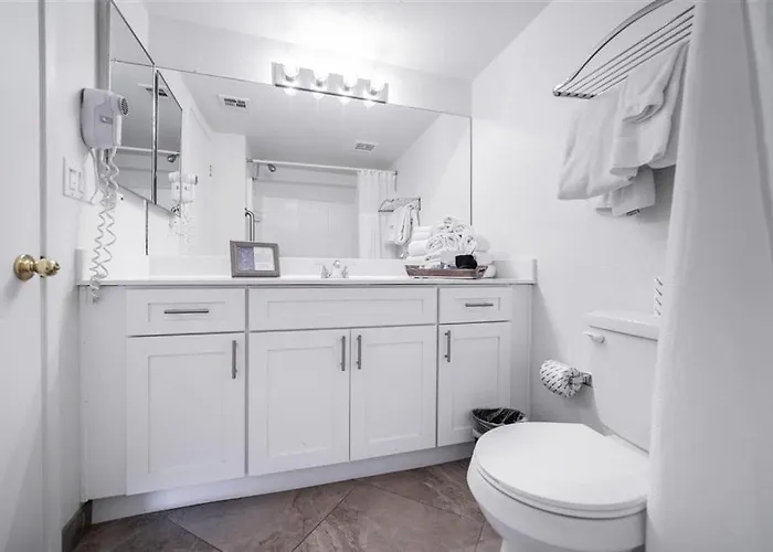 Apartment 214 Fully Furnished 1br Suite-outdoor Pool